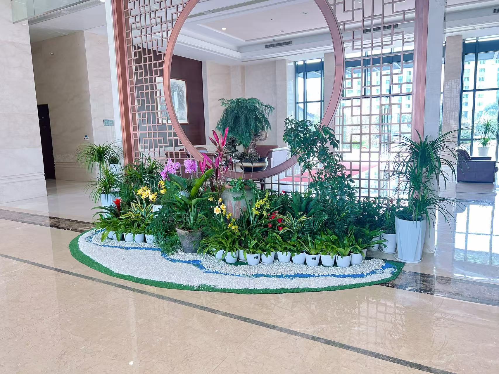 宁波江北盆景租赁方案，为你定制专属绿植美